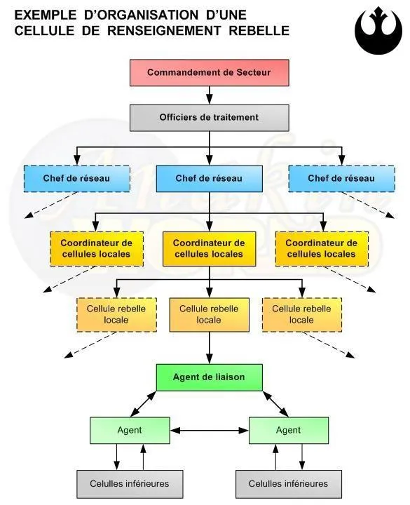 Organisation d'une cellule de renseignement rebelle