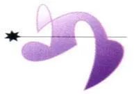 zZip Product Concepts Limited