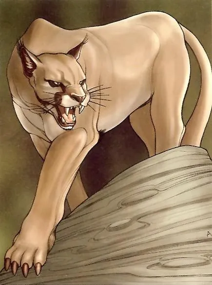 Panthère des Sables Corellienne