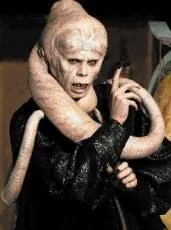 Bib Fortuna