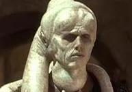 Bib Fortuna