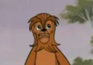Jaccoba