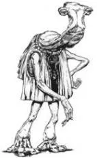 Momaw Nadon.
