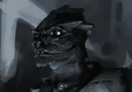 Pekt