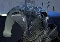 Shasa