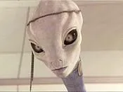 Taun We