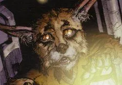 Toki Tollivar