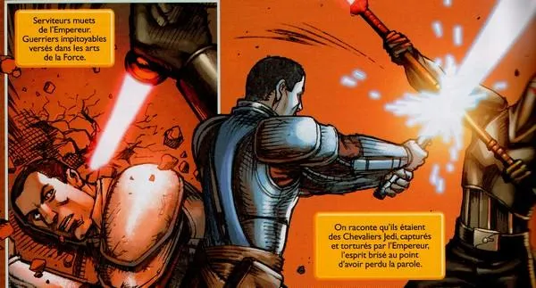 Starkiller affronte un Guerrier de l’Ombre sur Bespin.