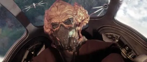 Cato Neimoidia