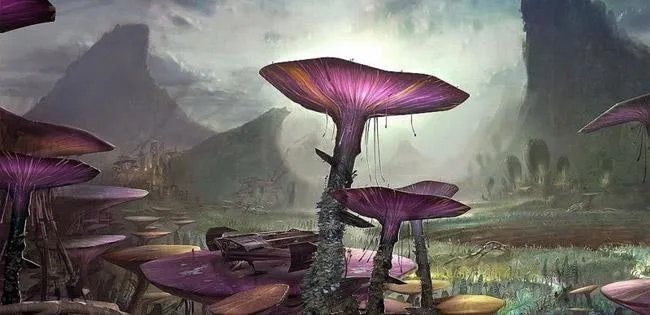 La végétation luxuriante de Felucia