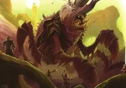 Kalsunor