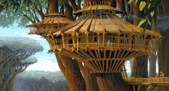 Kashyyyk