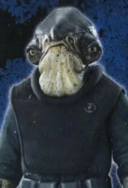 Raddus