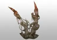 Implant de restriction corallien