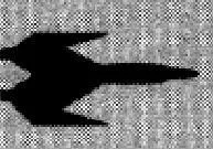 Transport léger Stalwart