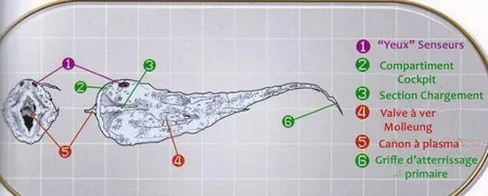 Schéma technique du Yorik-Trema