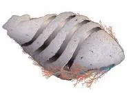 Vaisseau de Guerre Miid Ro'ik