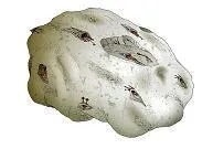 Vaisseau Espion Yorik-stronha