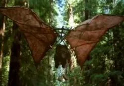 Planeur Ewok