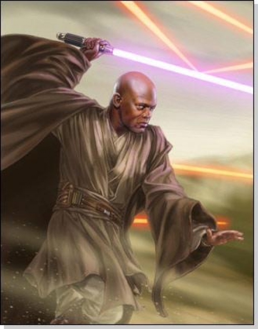 Mace Windu au combat