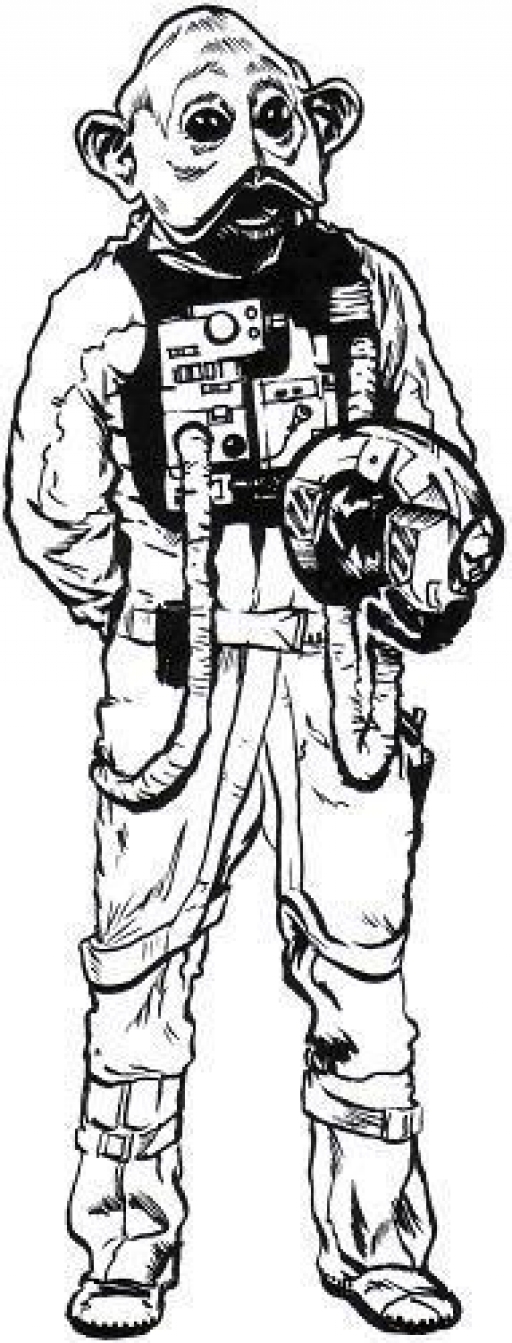 Pilote Sullustéen