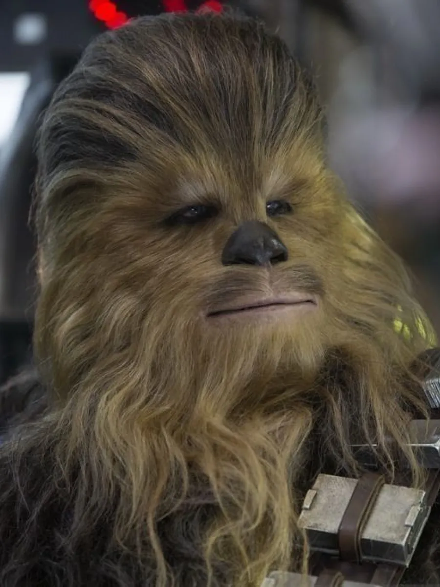 Chewbacca