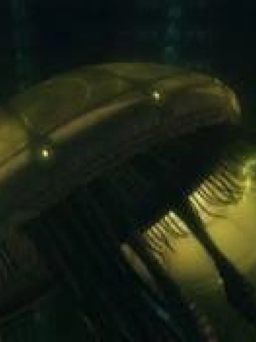 Méduse Hydroïde