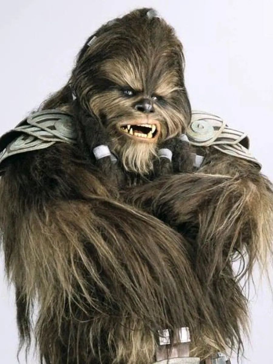 Wookiee