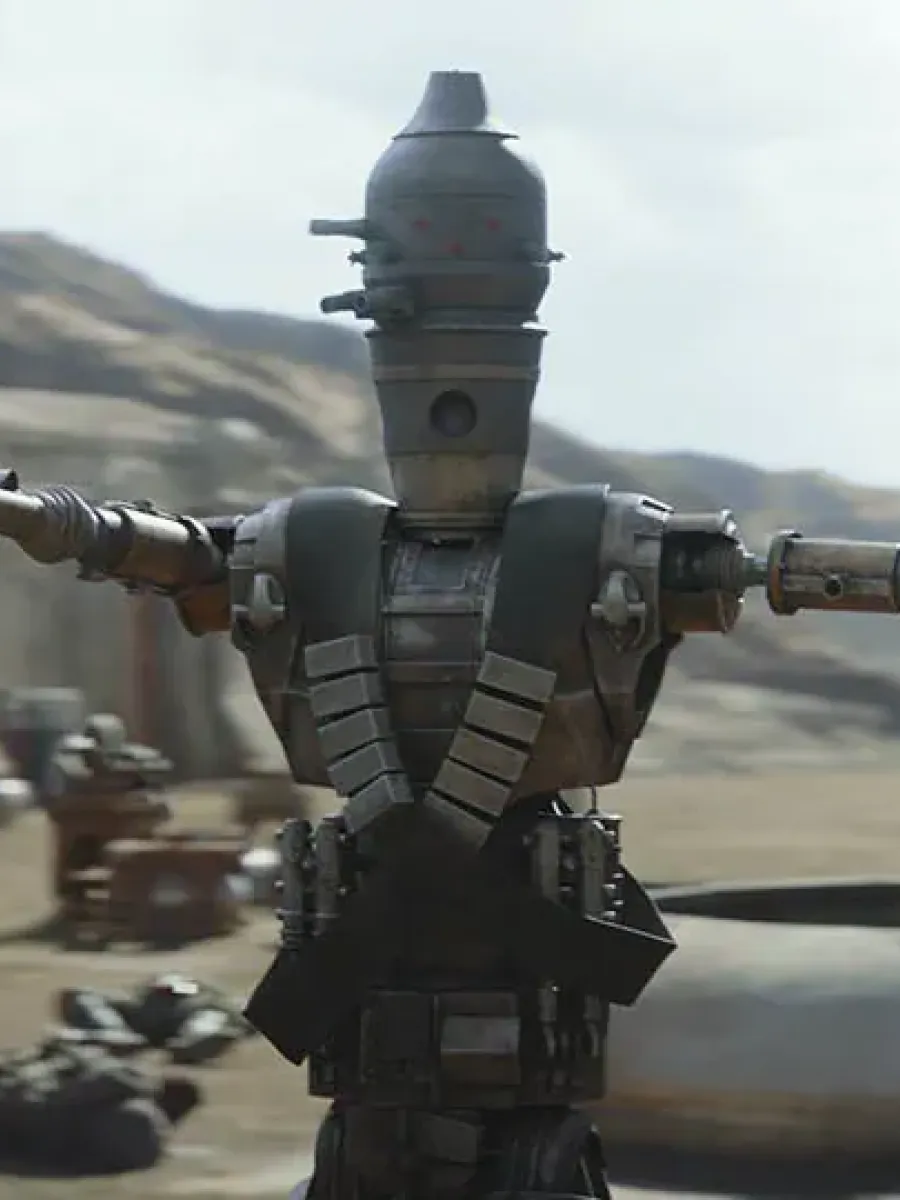 IG-11
