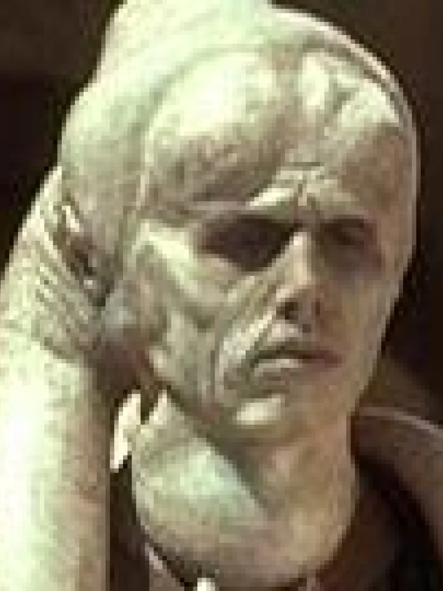 Bib Fortuna