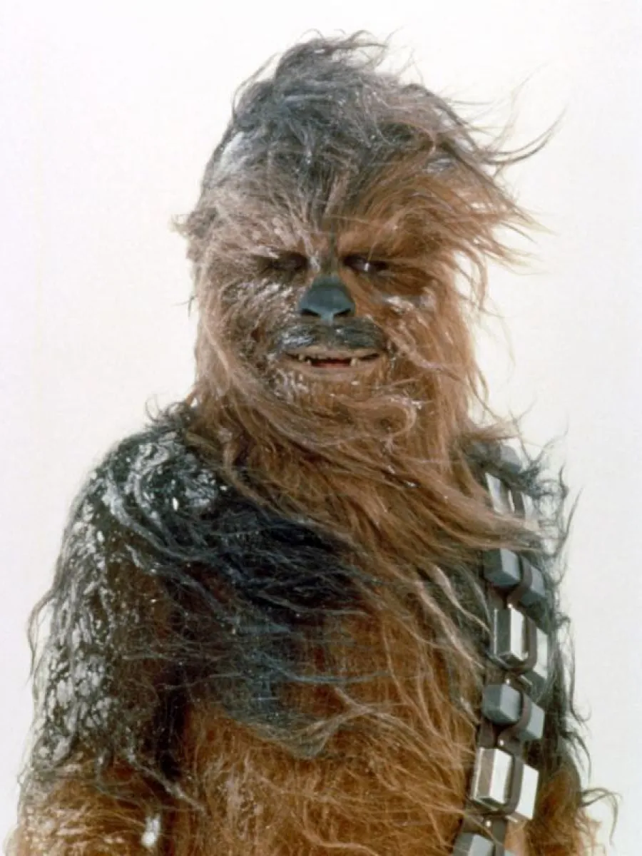 Chewbacca