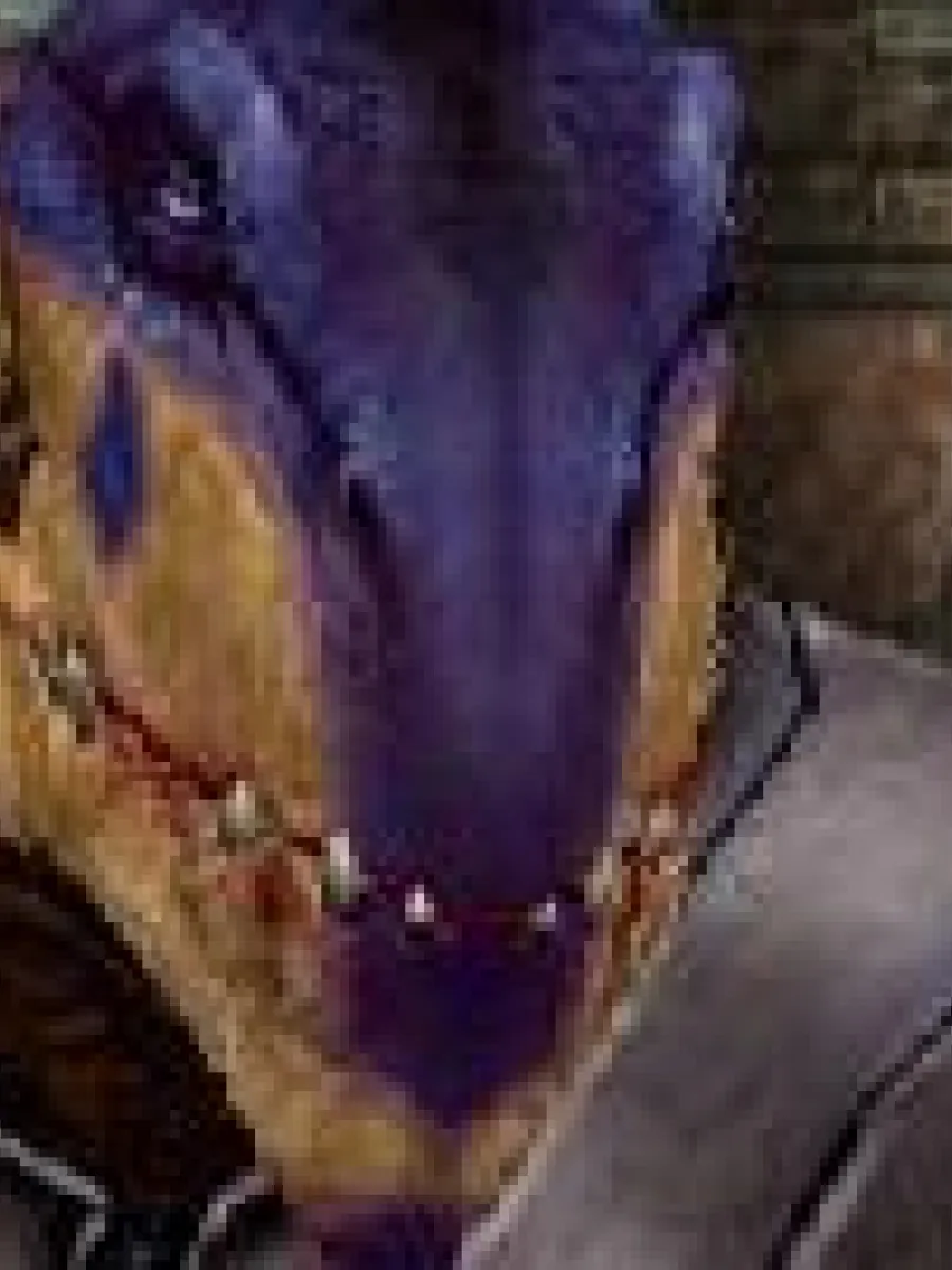 Desann