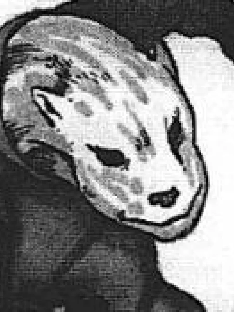 Dracmus