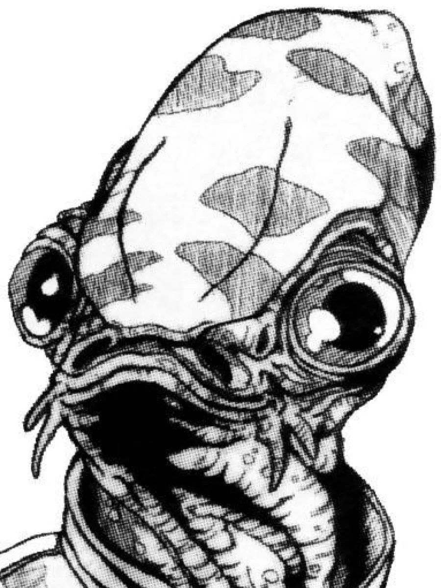 Jesmin Ackbar