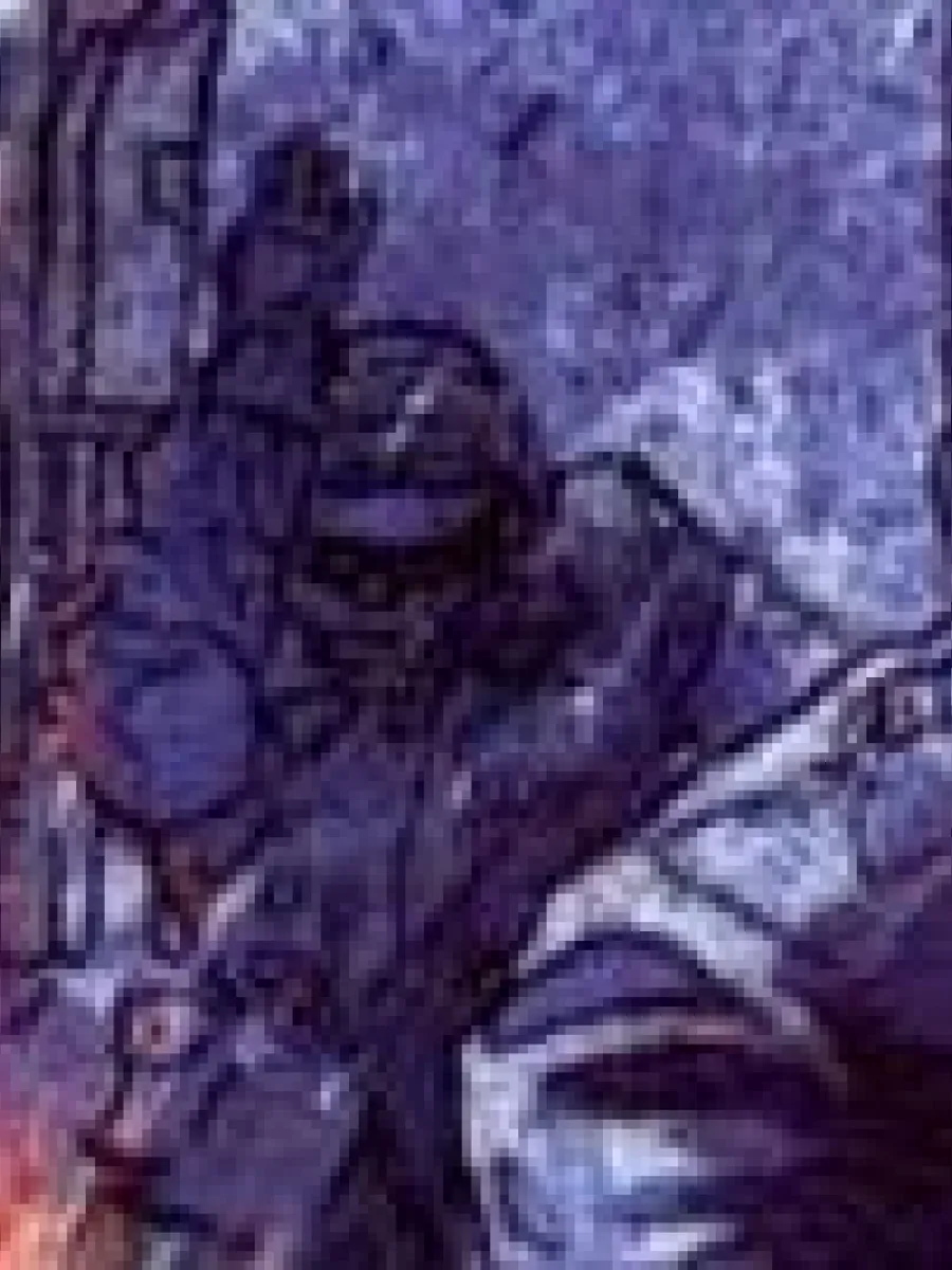 Sora