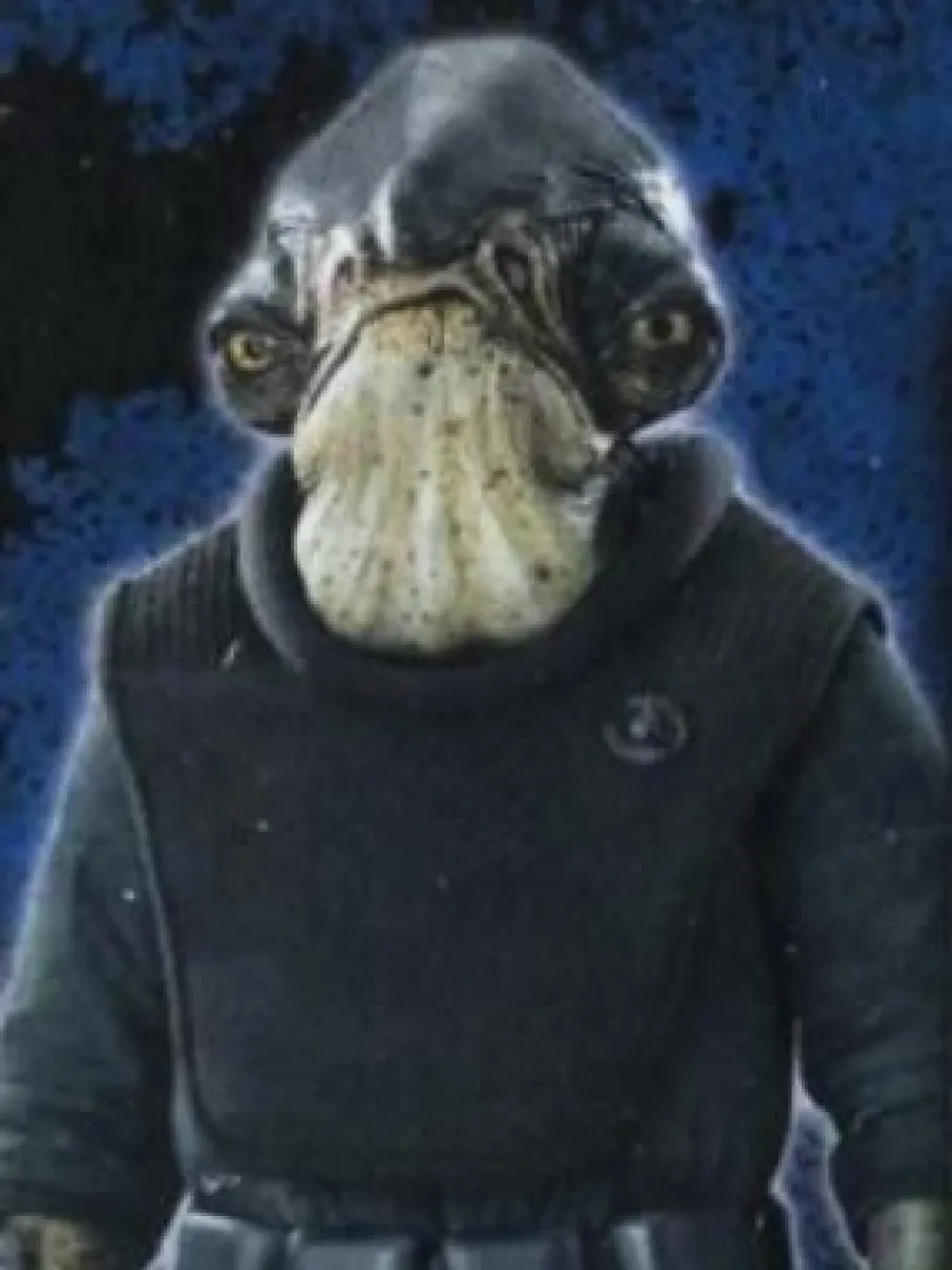 Raddus