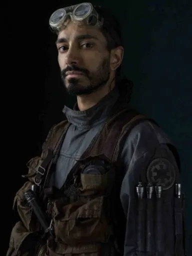 Bodhi Rook