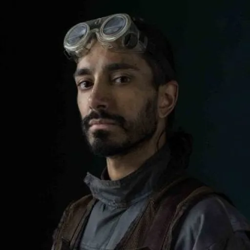 Bodhi Rook