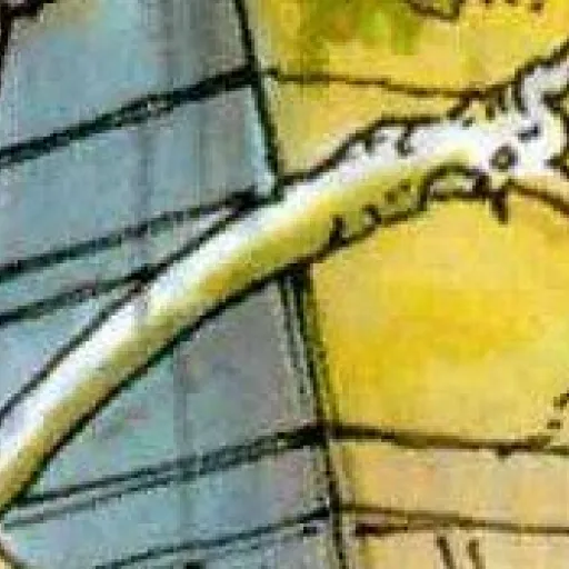 Boneworm