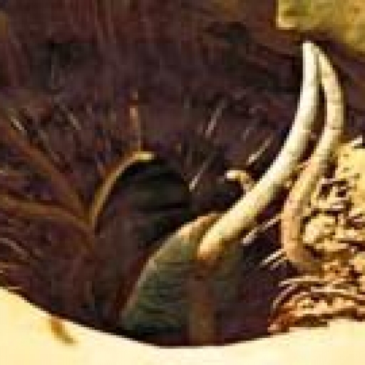 Sarlacc
