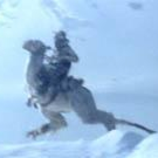 Tauntaun