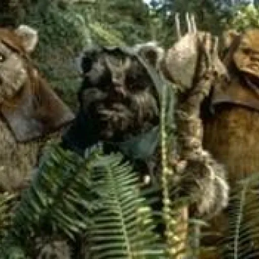 Noms Ewoks