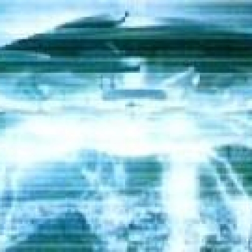 La recherche de la Faucheuse Noire