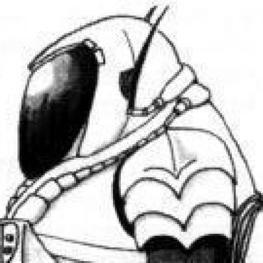 Armure NLZ5-11 Dragon