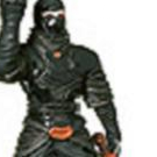 Maraudeurs du Côté Obscur