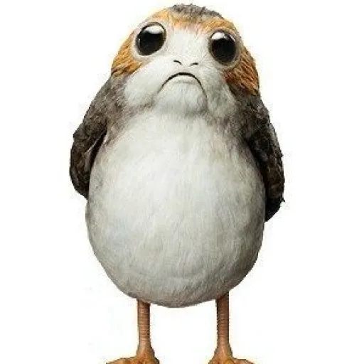Porg
