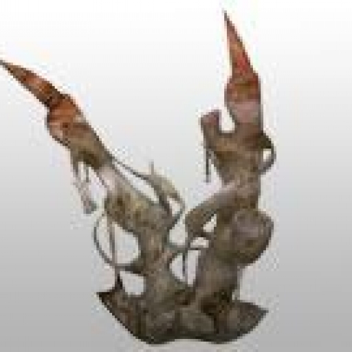 Implant de restriction corallien