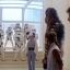 Han Solo et ses amis capturés par les Stormtroopers de la 501ème