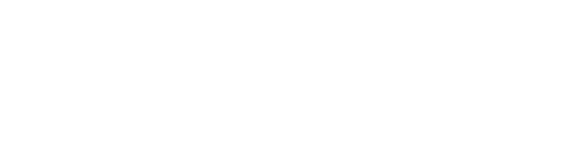 Star Wars : Princesse Leia